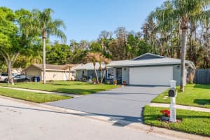 509 LAKEVIEW DRIVE, OLDSMAR, FL 34677 - MLS#MFRTB8487858