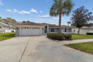 1062 GREENTURF ROAD, SPRING HILL, FL 34608 - MLS#MFRTB8487872