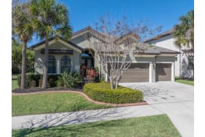 13818 Moonstone Canyon Dr, RIVERVIEW