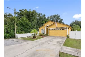 10407 N Woodmere Rd, TAMPA