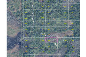 DILL RD, ORLANDO, FL 32820 - MLS#MFRTB8487917