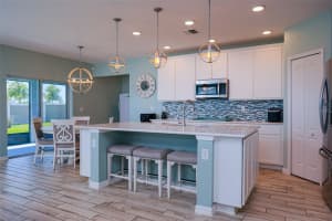 31300 KALE BROOKS COURT, SAN ANTONIO, FL 33576 - MLS#MFRTB8487949