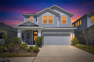 6066 GOLDEN NETTLE DRIVE, APOLLO BEACH, FL 33572 - MLS#MFRTB8487961