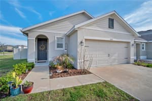 32705 Brooks Hawk Ln, WESLEY CHAPEL