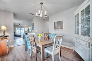 32705 BROOKS HAWK LANE, WESLEY CHAPEL, FL 33543 - MLS#MFRTB8487978