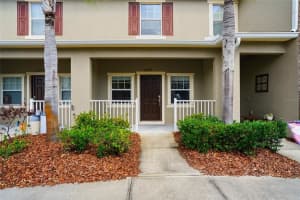 31209 GOSSAMER WAY, WESLEY CHAPEL, FL 33543 - MLS#MFRTB8488002