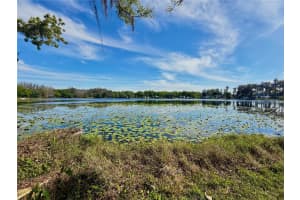 14618 GENEVA DRIVE, ODESSA, FL 33556 - MLS#MFRTB8488007