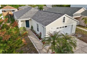 10462 BLACKMORE DRIVE, TAMPA, FL 33647 - MLS#MFRTB8488074