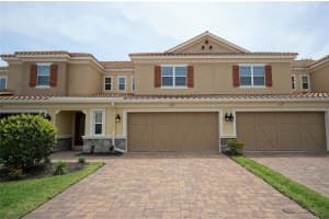 12313 TERRACINA CHASE COURT, TAMPA, FL 33625 - MLS#MFRTB8488081