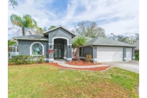 23635 Oakside Blvd, LUTZ 23635 Oakside Blvd, LUTZ