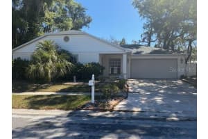 8512 QUEEN BROOKS COURT, TEMPLE TERRACE, FL 33637 - MLS#MFRTB8488112