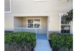 27542 DESERT WILLOW WAY, WESLEY CHAPEL, FL 33544 - MLS#MFRTB8488125