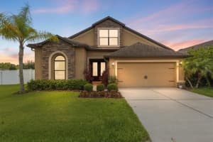 6539 BOULDER RUN LOOP, WESLEY CHAPEL, FL 33545 - MLS#MFRTB8488129