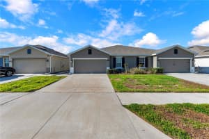 18276 TURNING LEAF CIRCLE, LAND O LAKES, FL 34638 - MLS#MFRTB8488132