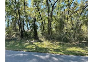 446 FITZPATRICK AVENUE, INVERNESS, FL 34453 - MLS#MFRTB8488139