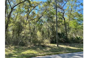 446 FITZPATRICK AVENUE, INVERNESS, FL 34453 - MLS#MFRTB8488139