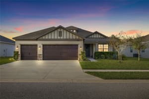 19819 WADING CRANE WAY, LUTZ, FL 33558 - MLS#MFRTB8488141