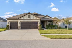 19819 WADING CRANE WAY, LUTZ, FL 33558 - MLS#MFRTB8488141