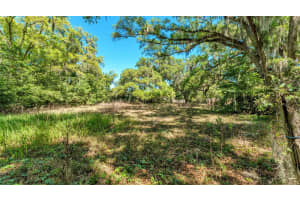 0 OAK HAVEN DRIVE, LAKELAND, FL 33810 - MLS#MFRTB8488197