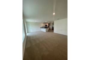 10231 OPALINE SKY COURT, RIVERVIEW, FL 33578 - MLS#MFRTB8488216