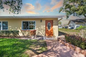 401 Dorchester Pl #61, SUN CITY CENTER