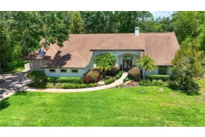 1903 CURRY ROAD, LUTZ, FL 33549 - MLS#MFRTB8488246