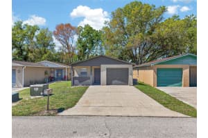 4915 BILLY DIRECT LANE, LUTZ, FL 33559 - MLS#MFRTB8488278