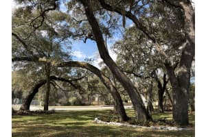 597 SAND WEDGE LOOP, APOPKA, FL 32712 - MLS#MFRTB8488308