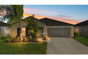 7166 SAMUEL IVY DRIVE, TAMPA, FL 33619 - MLS#MFRTB8488317