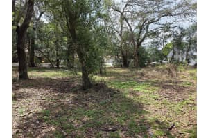 KELLY LYNN COURT, ZEPHYRHILLS, FL 33541 - MLS#MFRTB8488339