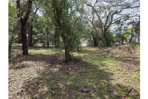 KELLY LYNN COURT, ZEPHYRHILLS, FL 33541 - MLS#MFRTB8488339