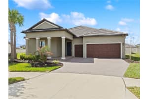 31875 MAGNA GULF LOOP, SAN ANTONIO, FL 33576 - MLS#MFRTB8488358