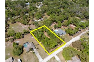 BONNIE BLUE DR, ZEPHYRHILLS, FL 33544 - MLS#MFRTB8488359