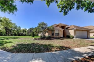 10002 OASIS PALM DRIVE, TAMPA, FL 33615 - MLS#MFRTB8488397