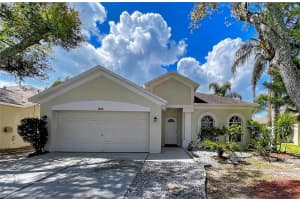 10310 Birdwatch Dr, TAMPA