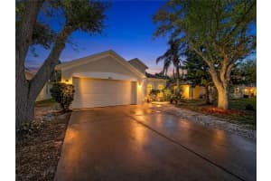 10310 BIRDWATCH DRIVE, TAMPA, FL 33647 - MLS#MFRTB8488417