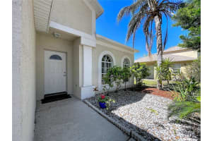 10310 BIRDWATCH DRIVE, TAMPA, FL 33647 - MLS#MFRTB8488417