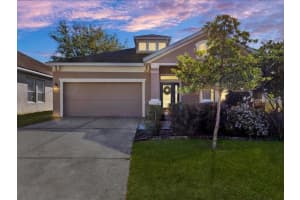 13305 TIGER LILLY LANE, TAMPA, FL 33625 - MLS#MFRTB8488418