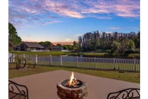 13305 TIGER LILLY LANE, TAMPA, FL 33625 - MLS#MFRTB8488418