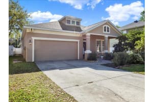 13305 TIGER LILLY LANE, TAMPA, FL 33625 - MLS#MFRTB8488418