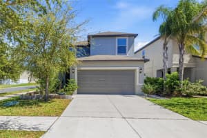 4002 Cat Mint St, TAMPA