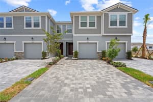 4156 CLOUD HOPPER WAY WAY, LUTZ, FL 33559 - MLS#MFRTB8488431