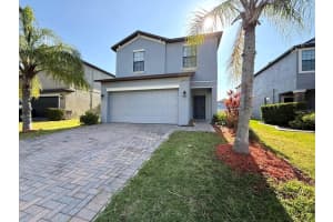 20023 DATE PALM WAY, TAMPA, FL 33647 - MLS#MFRTB8488432