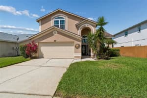 11415 Whispering Hollow, TAMPA