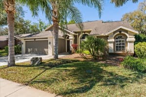 9112 CALLE ALTA, NEW PORT RICHEY, FL 34655 - MLS#MFRTB8488437