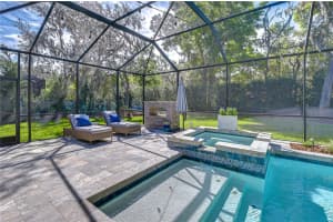 14712 FISHHAWK PRESERVE DRIVE, LITHIA, FL 33547 - MLS#MFRTB8488448