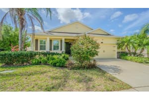 10627 SCENIC HOLLOW DRIVE, RIVERVIEW, FL 33578 - MLS#MFRTB8488498