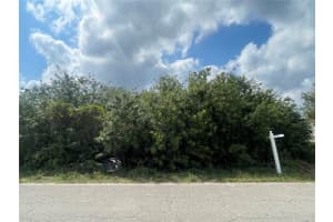 1017/1019 ALBANY AVENUE, LEHIGH ACRES, FL 33971 - MLS#MFRTB8488499