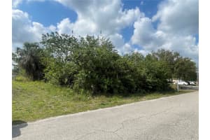 1017/1019 ALBANY AVENUE, LEHIGH ACRES, FL 33971 - MLS#MFRTB8488499