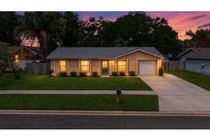 3208 Acapulco Dr, RIVERVIEW